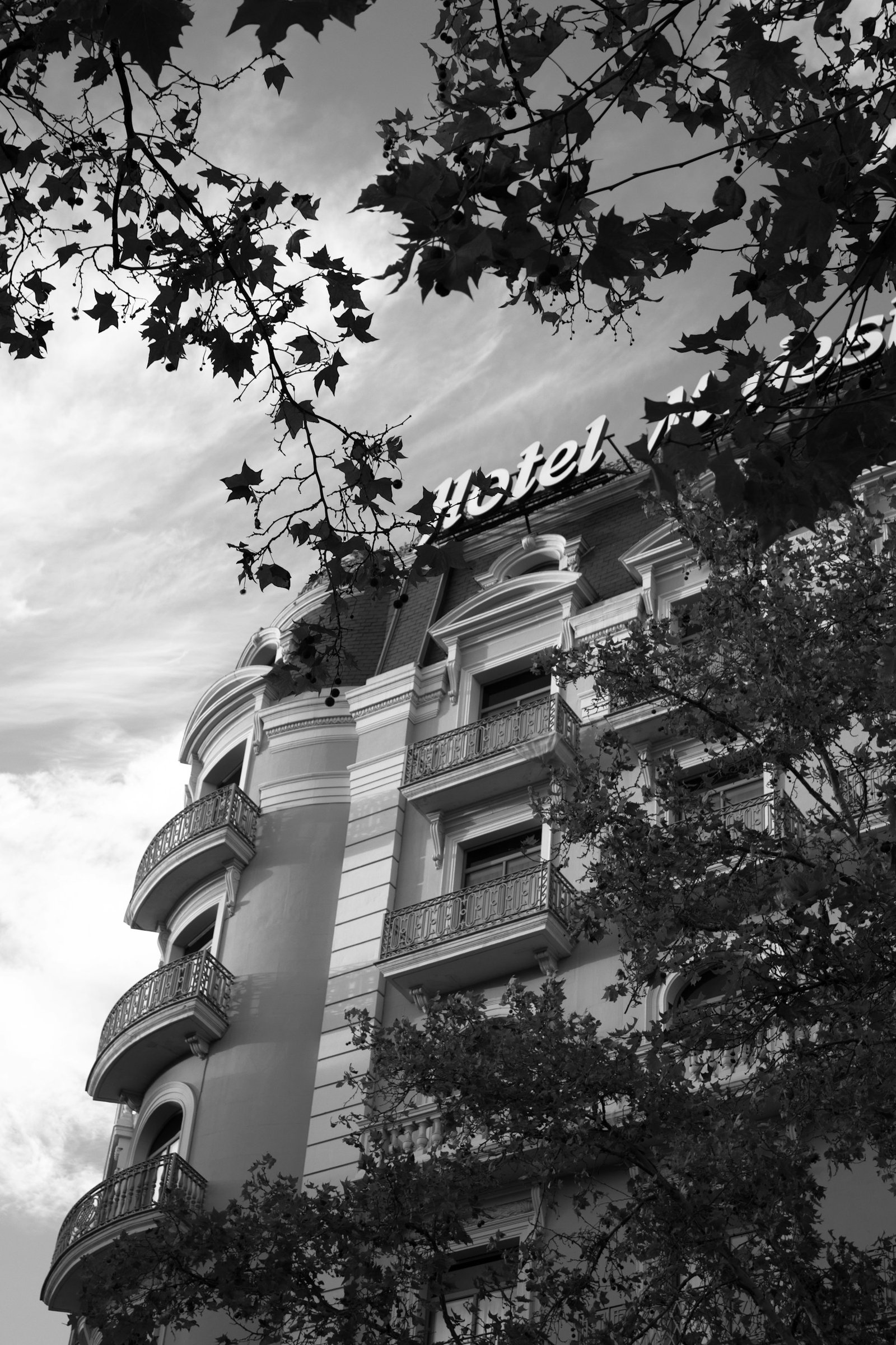 Elegant hotel façade framed by trees